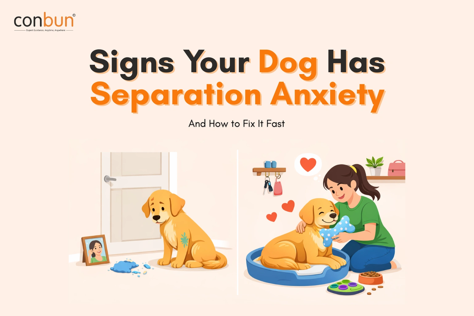 Signs Your Dog Has Separation Anxiety (And How to Fix It Fast)